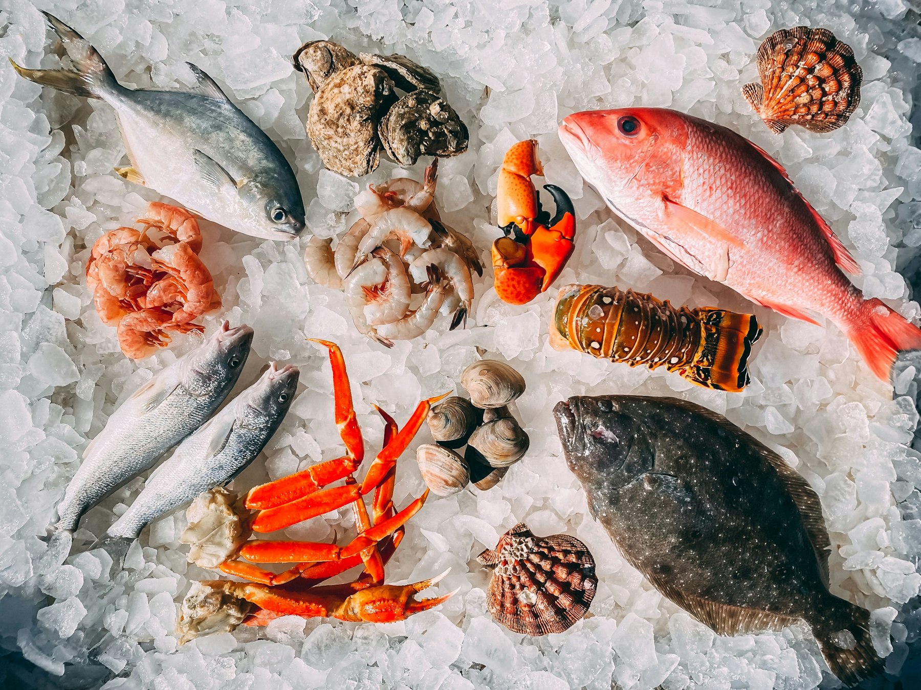 This morning's mixed catch on flake ice: red snapper, flounder, shrimp, crab claws, lobster tail, and scallops