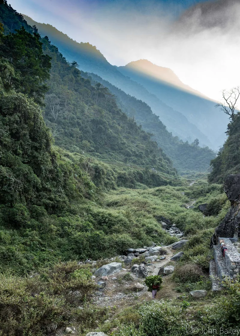 Mist rolling through a steep green Himalayan valley with a river far below