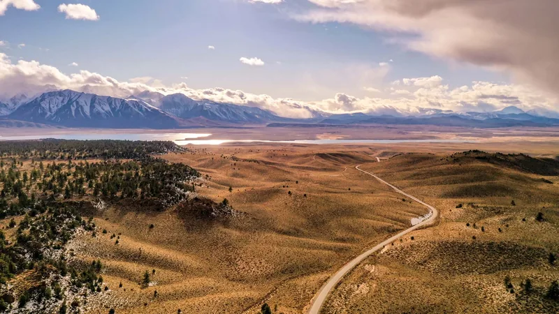 Aerial view of a lone road cutting across golden desert scrub toward distant snow-capped mountains