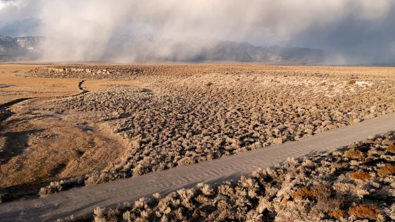Aerial view of desert dunes cut by the pale channel of a dry riverbed