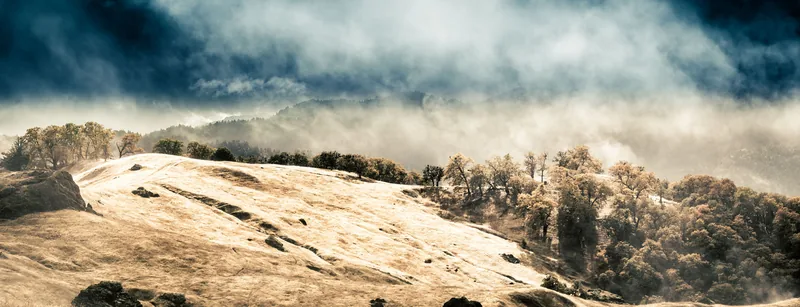 A bare ridgeline emerging from thick cloud, trees clinging to the slope below