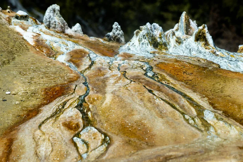 Abstract close view of white travertine terraces, mineral ridges holding pools of turquoise water