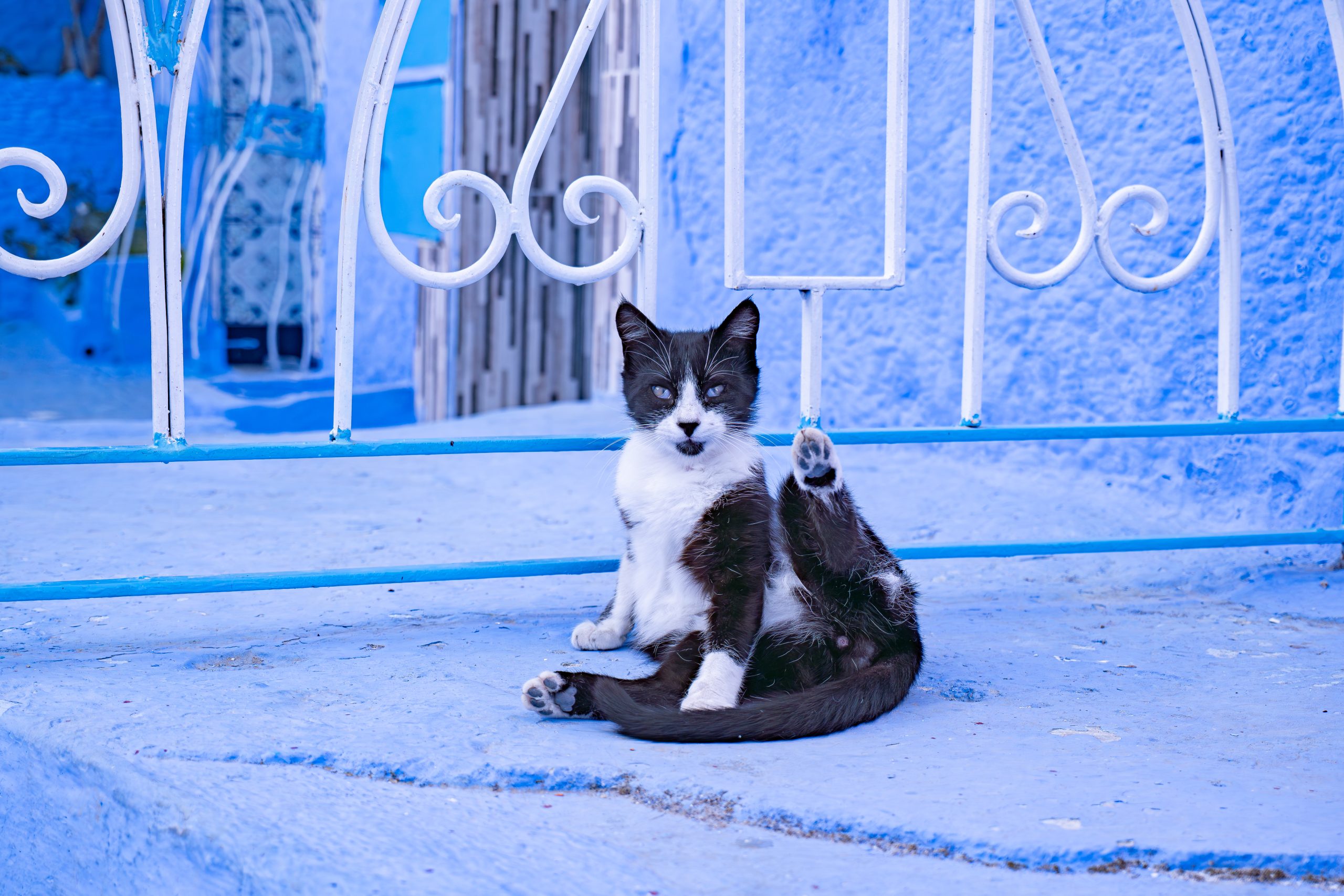 Strategy & Consulting