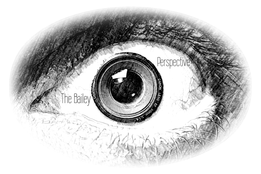 The Bailey Perspective