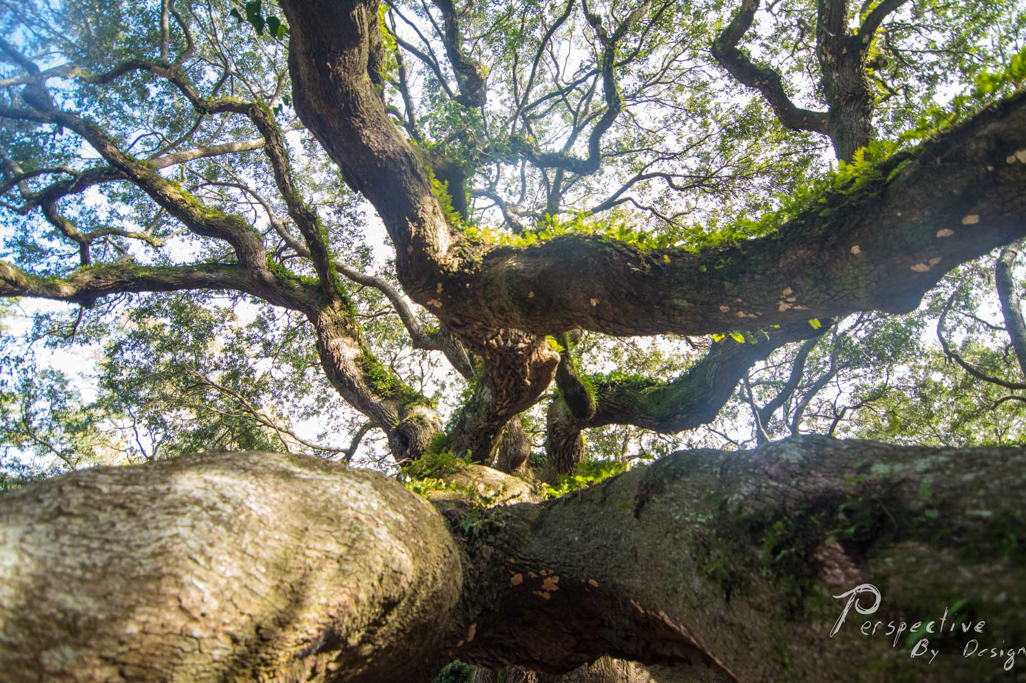 On-location portrait
