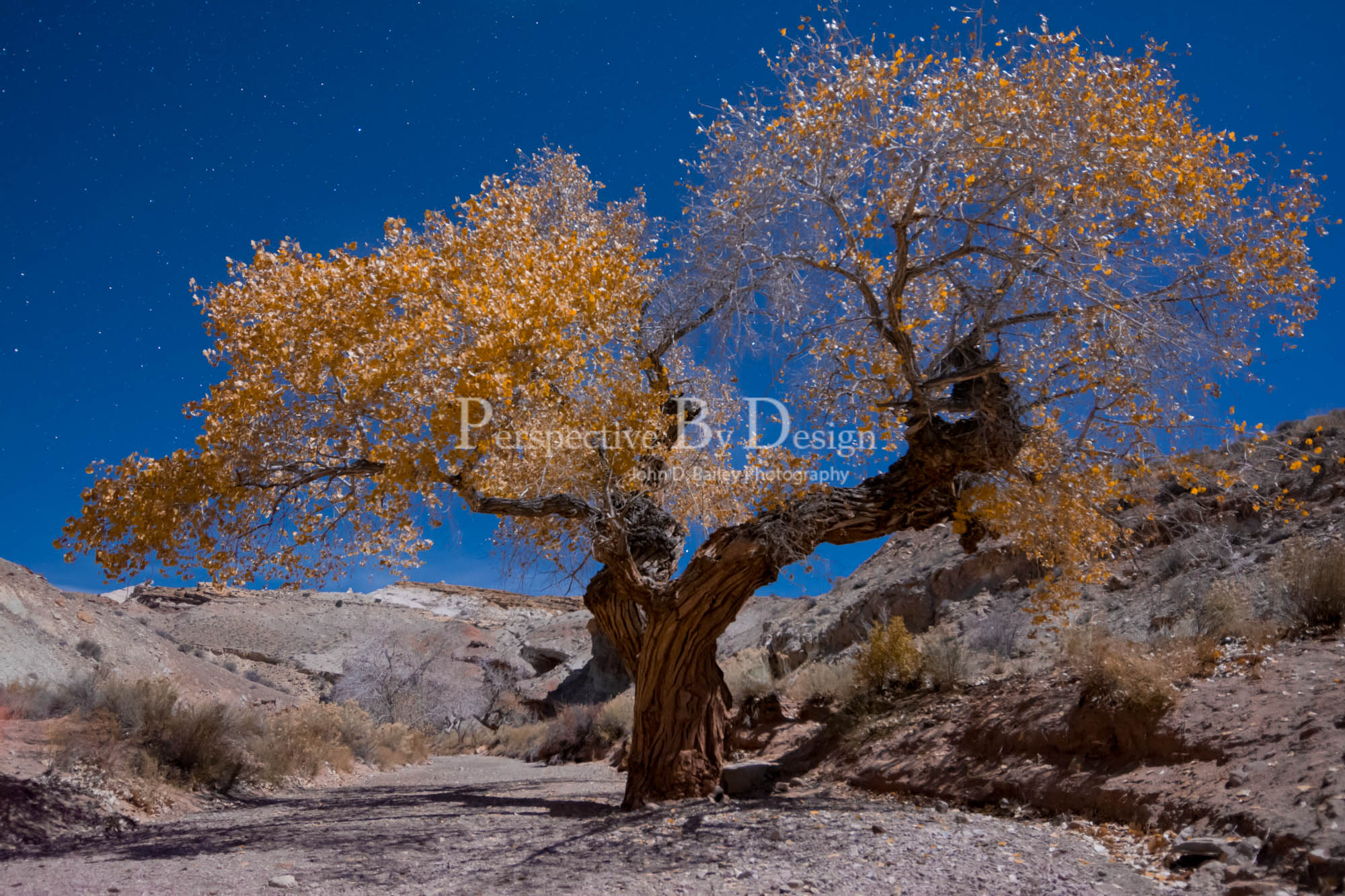 Editorial photograph